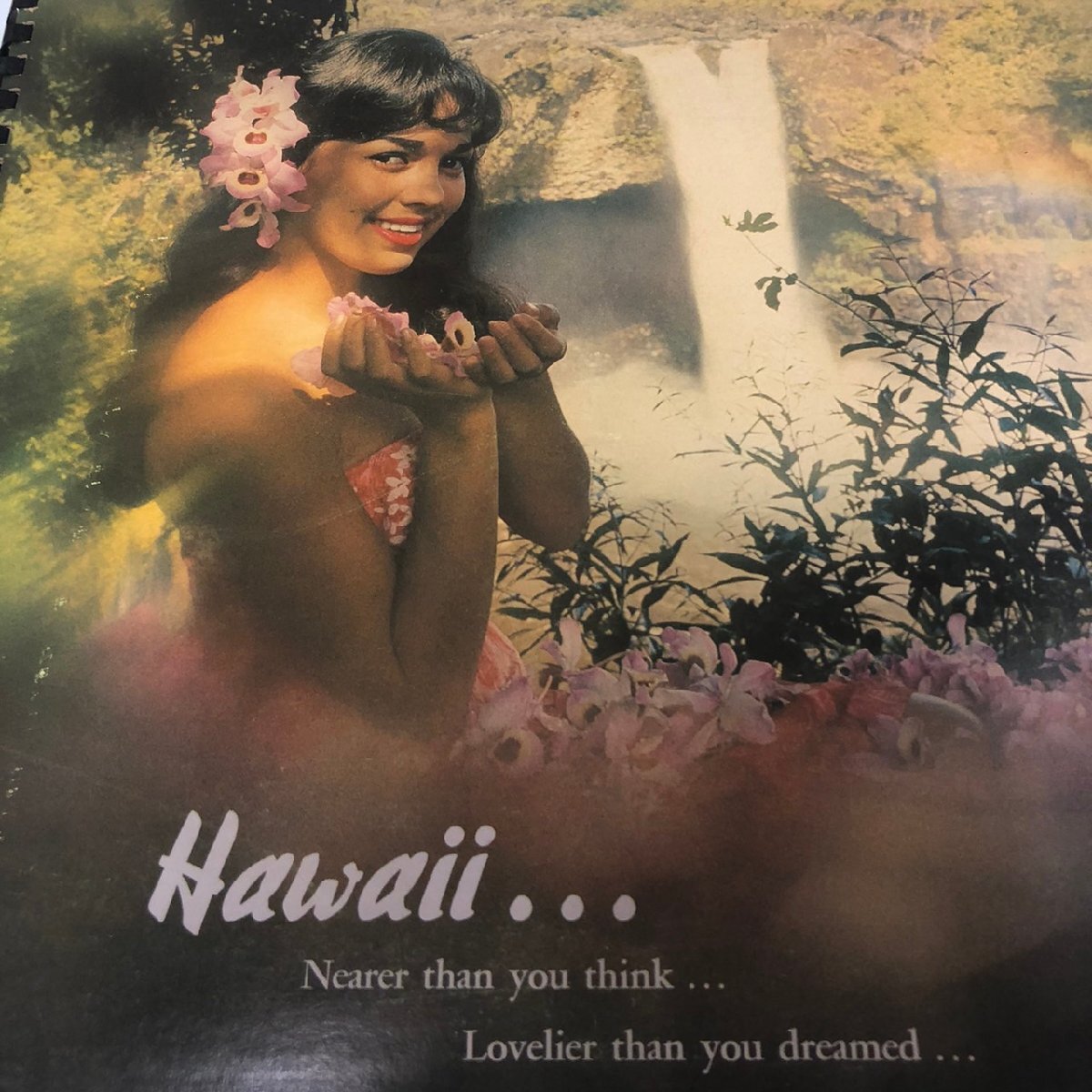 2025年最新】Yahoo!オークション -#hawaiians(レコード)の中古品