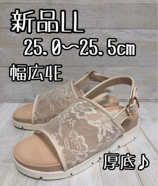 新品☆LL25.0㎝25.5cm幅広4E♪レースきれい厚底サンダル♪☆D785