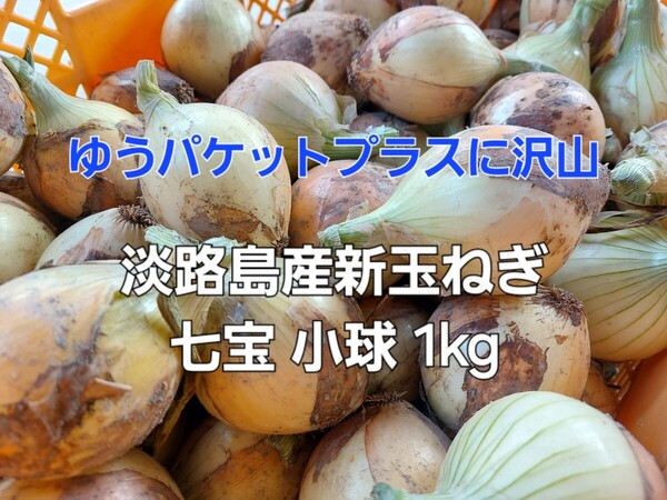 産地直送 淡路島産新玉ねぎ 七宝 秀品 S 1kg