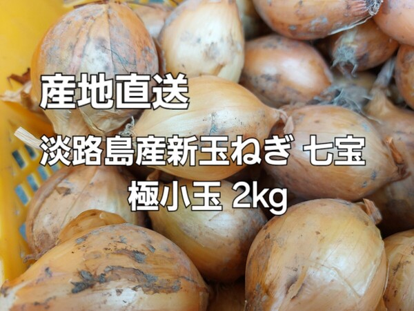 産地直送 淡路島産新玉ねぎ 七宝 極小玉 2kg