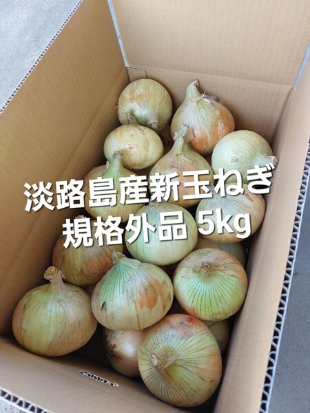 産地直送 淡路島産新玉ねぎ 七宝 訳あり 5kg
