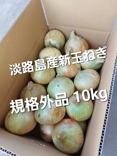 産地直送 淡路島産新玉ねぎ 七宝 訳あり品 10kg