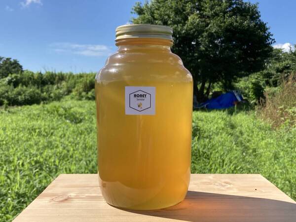 春の花 仙台産はちみつ 2400g③