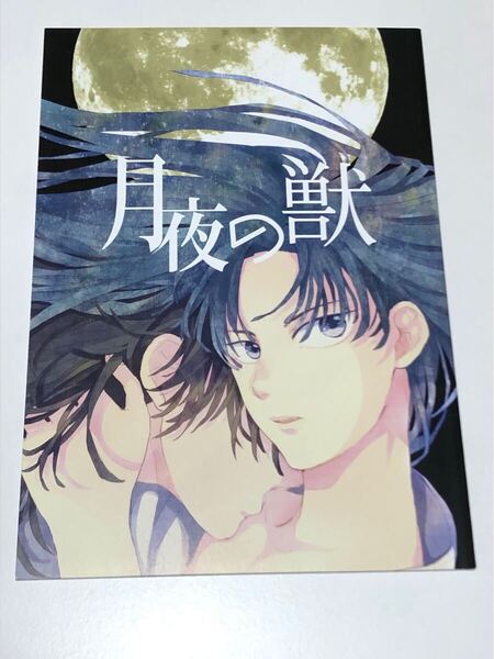 同人誌 忍たま乱太郎 月夜の獣 土井きり 土井半助×摂津のきり丸 n_f_nost つやこ 小説 34p