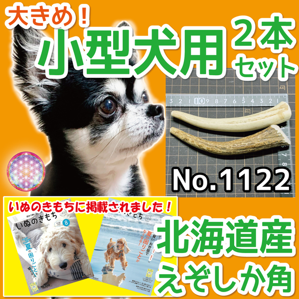 ■ 小型犬用 ■ 大きめ! 2本セット ■ 天然 無添加 北海道産 蝦夷鹿の角 ■ 犬のおもちゃ ■ 鹿角 エゾシカ ツノ 鹿の角 犬 11221