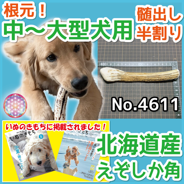 ■ 中~大型犬用 ■ 天然 北海道産 蝦夷鹿の角 ■ 根元部分 半割り 1本 ■ 犬のおもちゃ ■ 鹿の角 犬 無添加 エゾシカ ツノ 46112