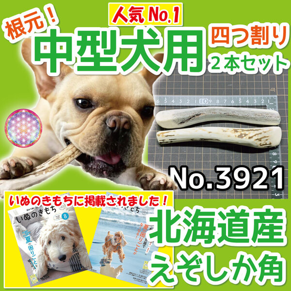 ■ 中型犬用 ■ 根元部分 四半割り 2本セット ■ 天然 北海道産 蝦夷鹿の角 ■ 犬のおもちゃ ■ 無添加 エゾシカ ツノ 鹿の角 犬 39212
