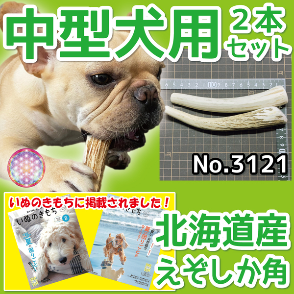 ■ 中型犬用 ■ 2本セット ■ 天然 無添加 北海道産 蝦夷鹿の角 ■ 犬のおもちゃ ■ 鹿角 エゾシカ ツノ 鹿の角 犬 31211