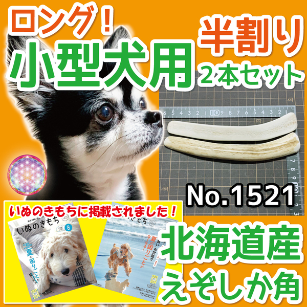 ■ 小型犬用 ■ 天然 北海道産 蝦夷鹿の角 ■ 半割りロング 2本セット ■ 犬のおもちゃ ■ 無添加 エゾシカ ツノ 鹿の角 犬 ■ 15211