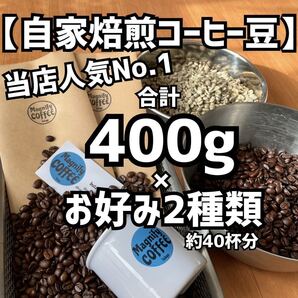 【自家焙煎珈琲豆】当店人気No.1★選べる2種セット!スタバ/ドトール/タリーズ/カルディコーヒーに負けない美味しさ!大容量400g (豆or粉)