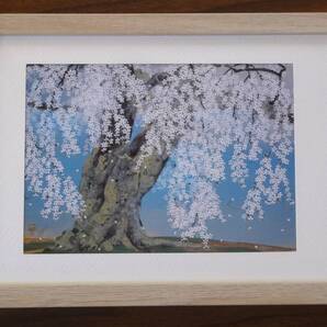 人気★中島千波★【醍醐の枝垂桜】貴重な画集から新品額装