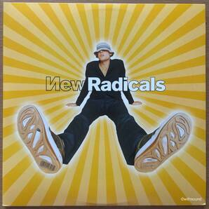 NEW RADICALS Mayebe You've Been Brainwashed Too EU REISSUE DOUBLE LP 2017 GEFFEN 00602557294729