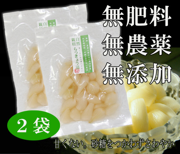 らっきょう漬け 140g(70gX2袋)★無添加・無化学調味料★砂糖は不使用★無肥料・無農薬★発酵熟成★後味すっきりカリカリ感の残る豊かな味