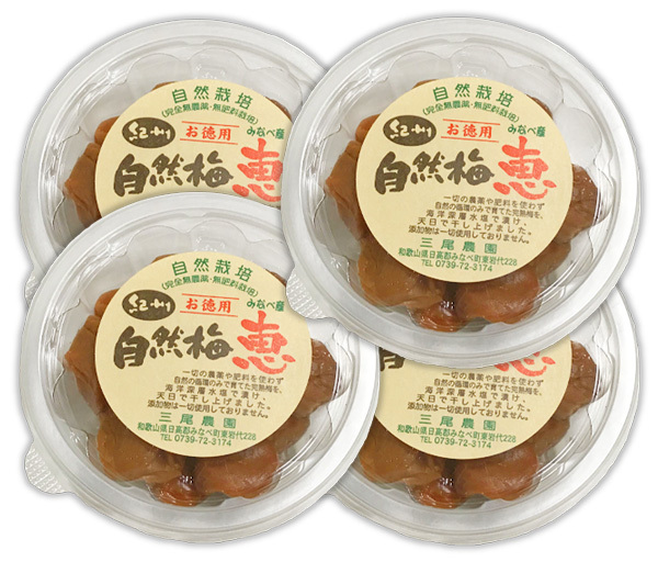 紀州自然梅「恵」お徳用 800g(200gX4個)★無添加・無着色★無肥料・無農薬の究極の自然栽培★古くからある和歌山の優良品種♪大粒果肉♪