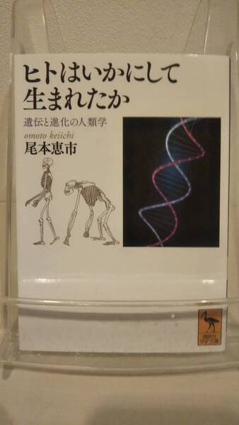 ヒトはいかにして生まれたか 遺伝と進化の人類学 (講談社学術文庫 2288)