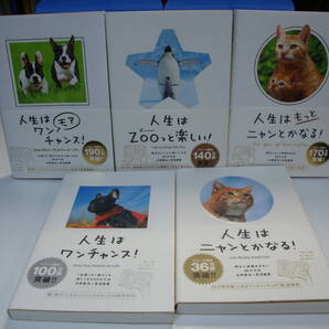 古本帯付良好5冊set★人生は ワンチャンス!+ニャンとかなる+ZOOっと楽しい+もっと ニャンとかなる+ワンモア チャンス☆水野敬也・長沼直樹