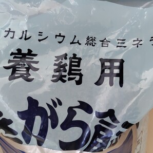 牡蠣殻 1kg