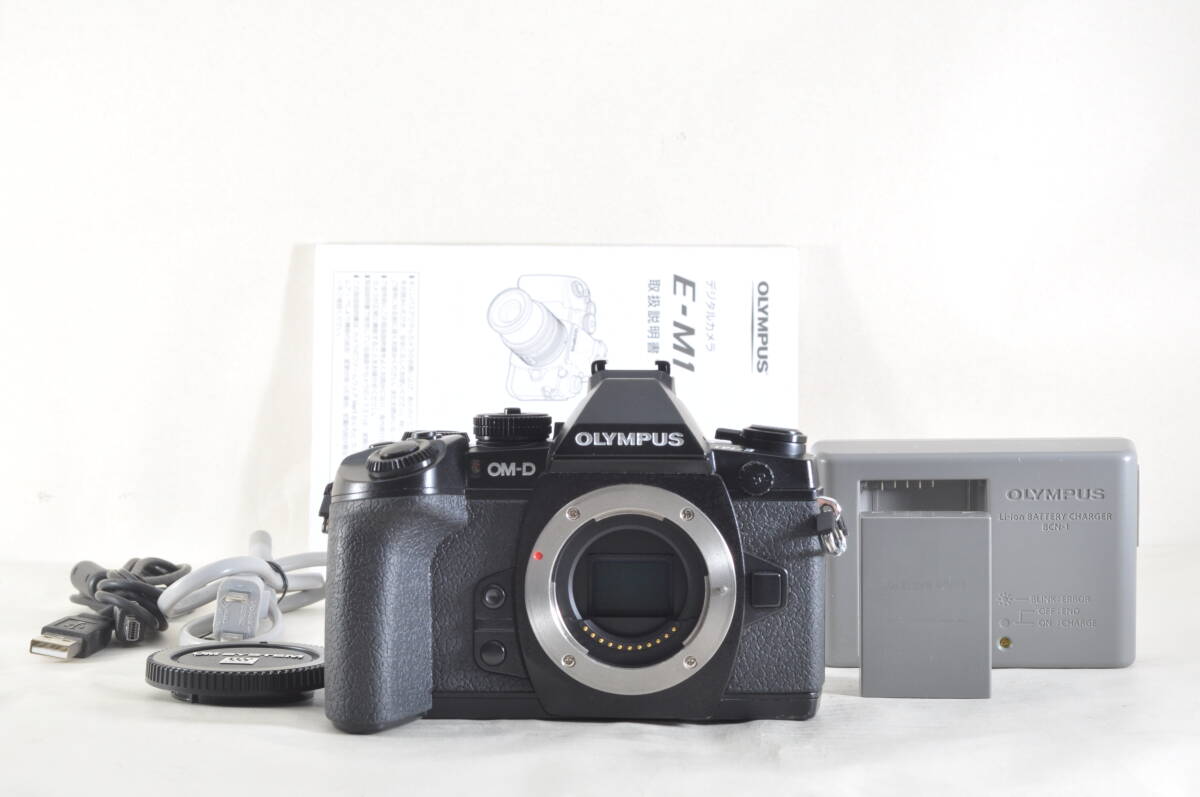 2025年最新】Yahoo!オークション -olympus om-d e-m1 ボディの