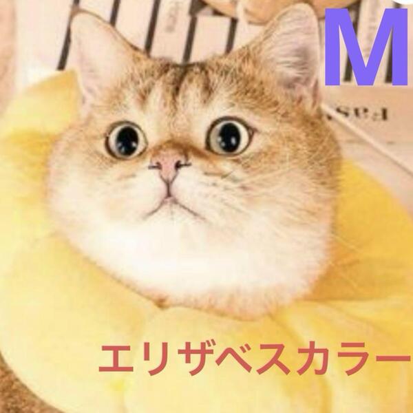 エリザベスカラー 猫用 犬用 ソフト 軽量 術後ケア 調節可能 傷舐め防止