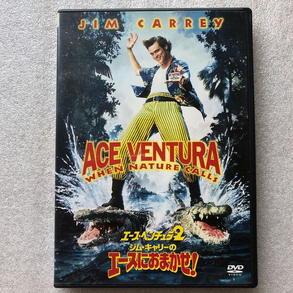 【 中古 DVD 】エースベンチュラ2/ジムキャリーのエースにおまかせ! /ジムキャリー 中古 DVD セル版 他多数出品中