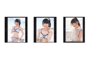 AKB48 横山由依 ラブラドールレトリバー 通常盤 購入特典 生写真 3種コンプ 一括まとめ出品