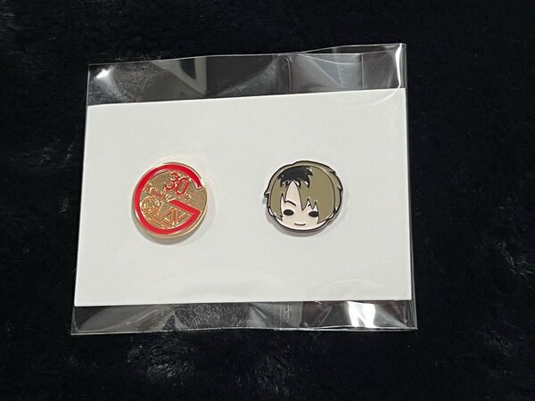 GLAY 30th Anniversaryエンタメくじ vol.2 ⑲ ピンズセット賞 TERU