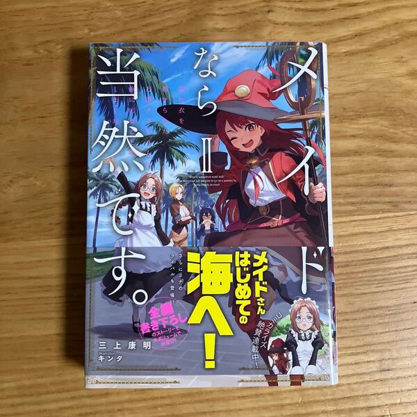 メイドなら当然です。 濡れ衣を着せられた万能メイドさんは旅に出ることにしました 2 (EARTH STAR NOVEL)