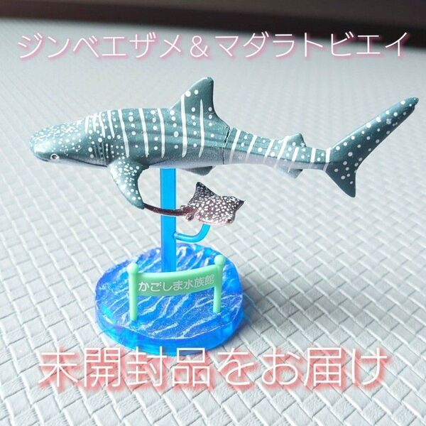 かごしま水族館 ジンベエザメ マダラトビエイ フィギュア ガチャガチャ