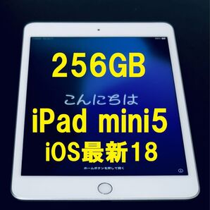 ◆ 256GB iPad mini 5 アップルIPAD MINI 第5世代 iPad タブレット アイパッド