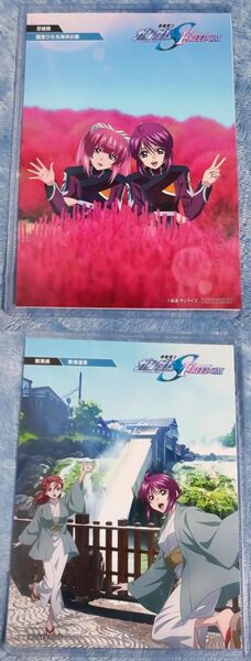 ガンダム SEED FREEDOM 映画 ポストカード 群馬 茨城 ルナマリア