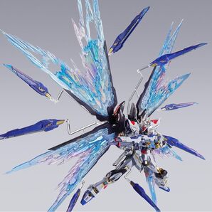 METAL BUILD ストライクフリーダムガンダム 光の翼オプションセット BUILD FESTIVAL 2024