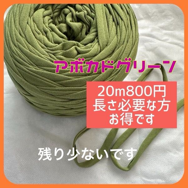 特価★20m800円 アボカドグリーン Tシャツヤーン ズパゲッティ ハンドメイド
