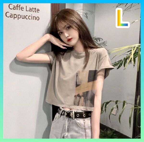 【新品・未使用】Tシャツ ストリート系 モード系 アースカラー グレー アウトドア Lサイズ