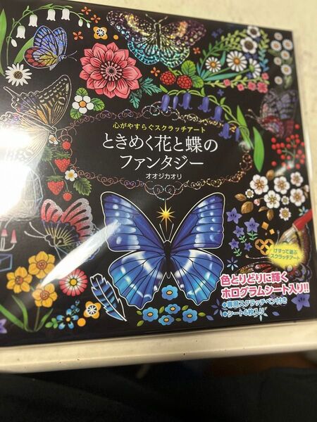 ペン付きスクラッチアート