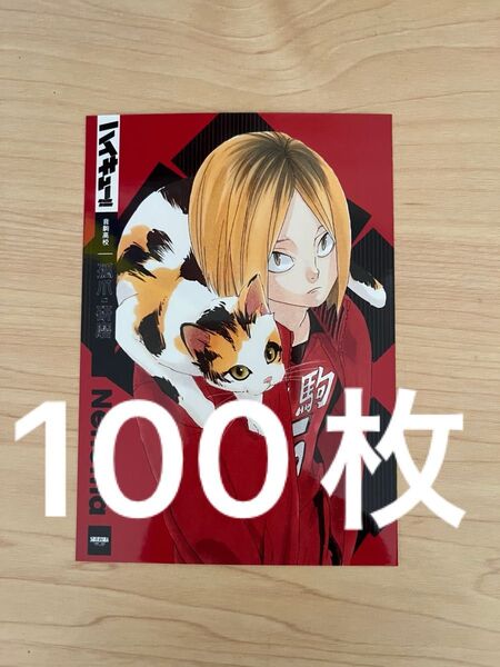 ハイキュー 渋谷ジャック 孤爪研磨 ブロマイド 書店ジャック 100枚