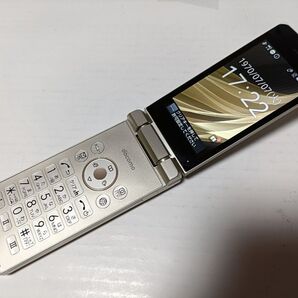 ☆ docomo SH-02L AQUOS ケータイ ゴールド #3
