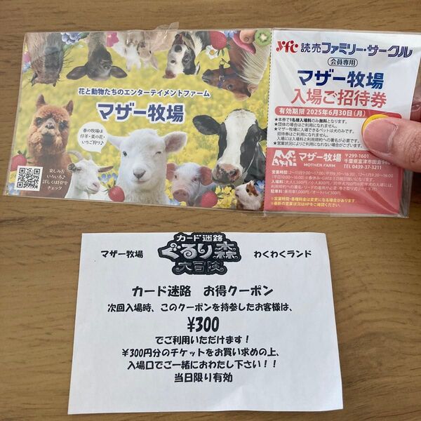 マザー牧場 チケット 1枚