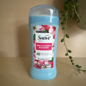 Suave スアーヴ WILD CHERRY BLOSSOM 74g 制汗剤 制汗 消臭 デオドラントスティック スアーブ