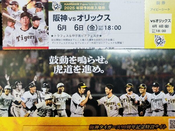 【6/6(金) 甲子園】阪神対オリックス アイビーシート1枚 トラフェス