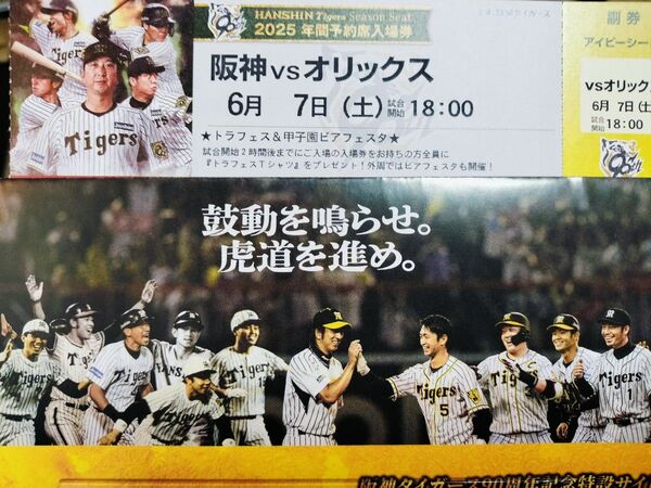 【6/7(土) 甲子園】阪神対オリックス アイビーシート1枚 トラフェス