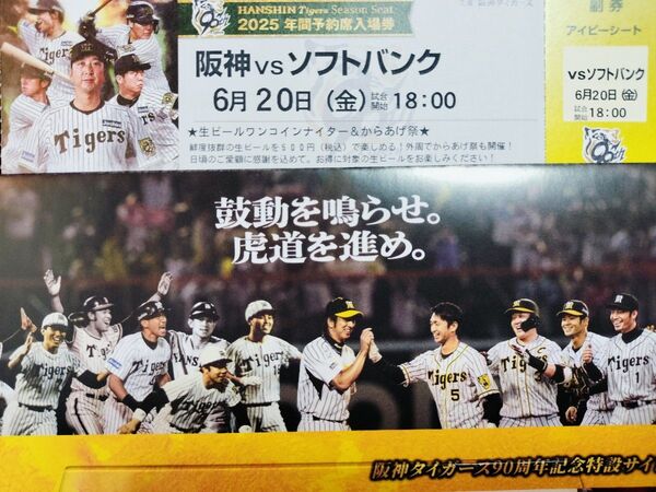 【6/20(金) 甲子園】阪神対ソフトバンク アイビーシート1枚