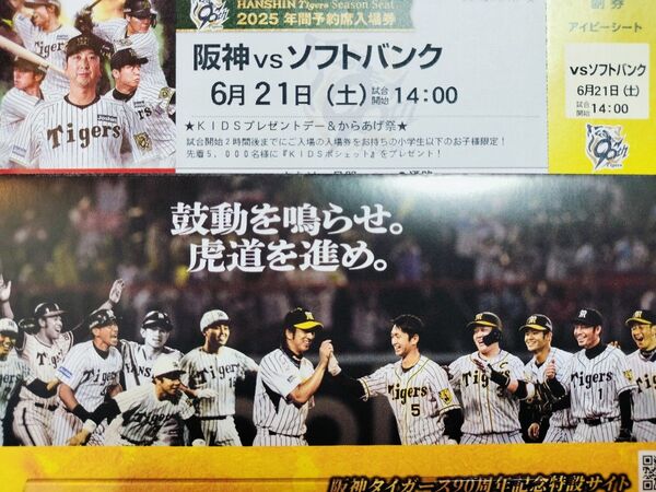 【6/21(土) 甲子園】阪神対ソフトバンク アイビーシート1枚