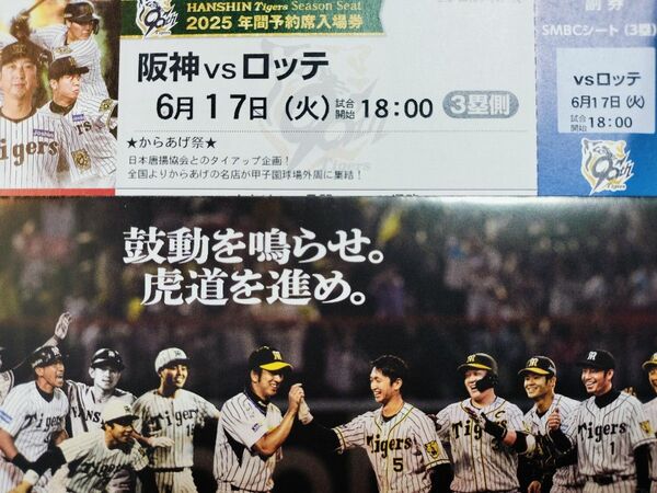 【ビジターファン垂涎】6/17(火) 甲子園 阪神対ロッテ 3塁SMBCシート1枚