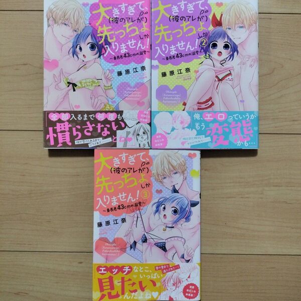 ×大きすぎて、 (彼のアレが) 先っちょしか入りません! 1~3巻
