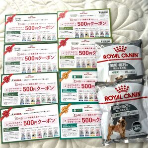 ROYAL CANIN サンプルとクーポンセット