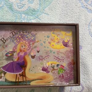 ラプンツェル ウォータードーム風 額縁 ディズニーシー