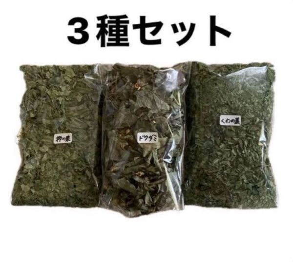 桑の葉 柿の葉 ドクダミ 乾燥 3パック どくだみ くわの葉 ドクダミチンキ