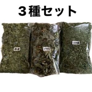 桑の葉 柿の葉 ドクダミ 乾燥 3パック どくだみ くわの葉 ドクダミチンキ