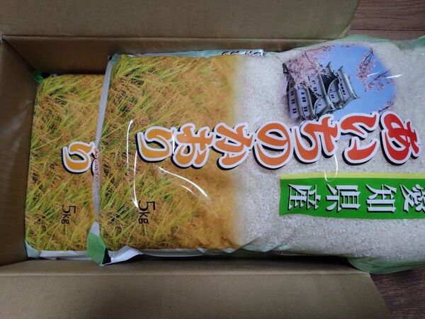 新品 愛知県産 あいちのかおり 10Kg 令和6年産 精米済み