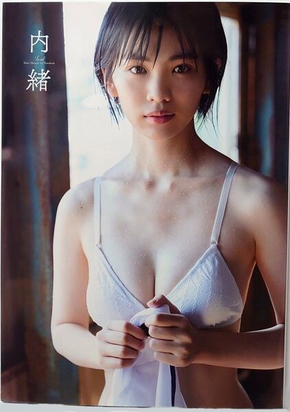 竹内詩乃写真集 内緒【DVD(未開封)】